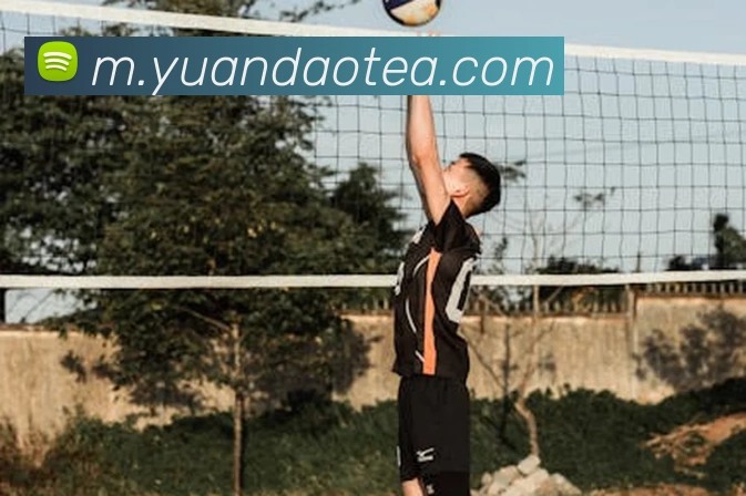 乐竞体育全站App 乐竞体育全站App